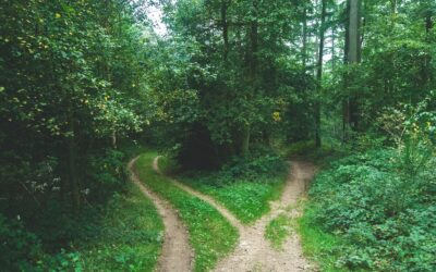 Separación matrimonial etapa b